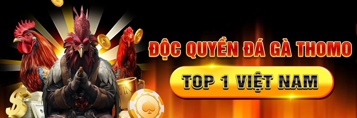 ALO789 9 banner