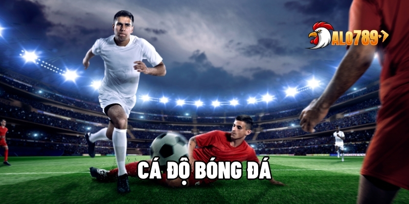 Cá độ bóng đá